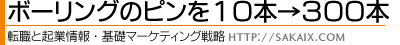 ボーリングのピンを10本→300本 / 転職・起業への道。マーケティング・企画と販促・業務事例